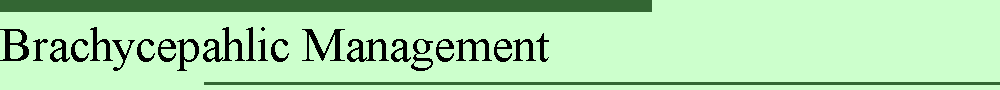 Brachycepahlic Management