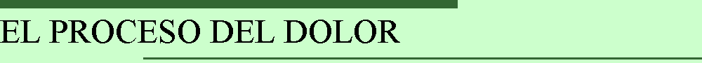 EL PROCESO DEL DOLOR