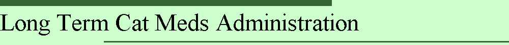 Long Term Cat Meds Administration